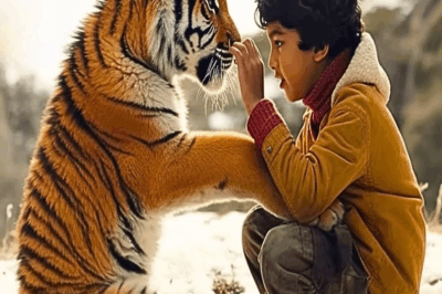 Niño Huérfano Desafía el Peligro y Salva a Tigre Cachorro Huérfano de Cazadores Furtivos