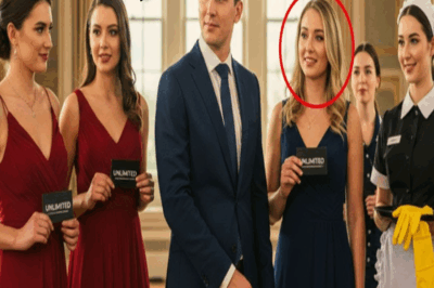 Le dio 4 tarjetas ilimitadas a 4 mujeres, pero la criada hizo lo imposible y lo dejó sin palabras