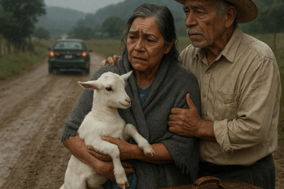 HIJOS ABANDONAN A SUS PADRES CON UNA CABRITA… SIN SABER QUE HABÍA EN LA MALETA