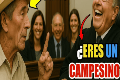 “¡CÁLLATE, CAMPESINO!” — El Juez se BURLÓ… y Terminó HUMILLADO al Escuchar su Defensa
