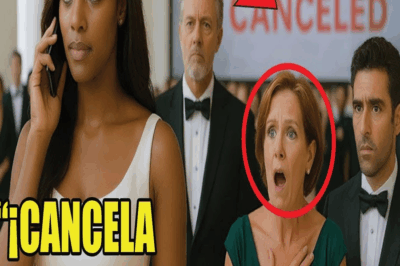 Novia humillada por la familia del novio — hasta que destruyó su acuerdo de $950M”