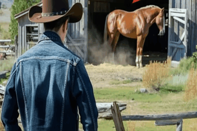 Un Hombre Compró Un Rancho Por $1… Hasta Que El Caballo Que Vivía Allí Le Cambió La Vida.