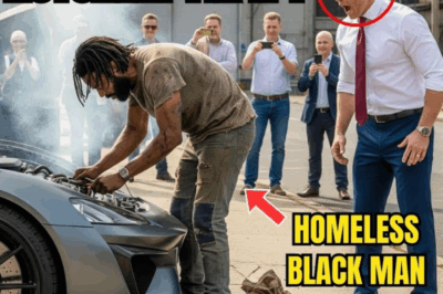 “Puedo arreglarlo”. Un hombre sin hogar escuchó el grito de ayuda de un multimillonario y luego le enseñó lo que él no pudo.