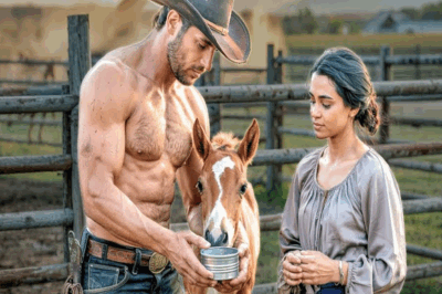 Nadie quería ser su esposa… hasta que vio que el vaquero gigante tenía un alma tierna