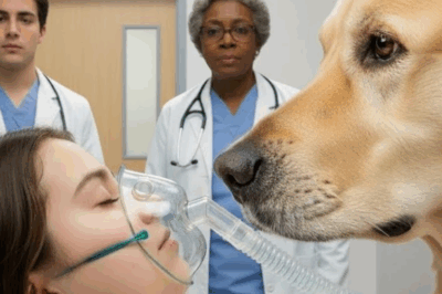 A una niña le quedan 3 minutos de vida: el último acto de su perro desafió a la ciencia