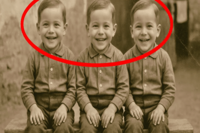 La Última Foto De Hermanos Trillizos En 1912 — Al Día Siguiente Fueron Separados En Diferentes Casas