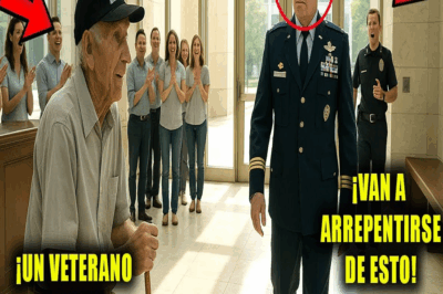 Lo llamaron “veterano falso” en el banco — hasta que entró un general furioso