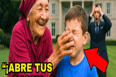 EL HIJO DEL MILLONARIO ERA CIEGO, HASTA QUE UNA ANCIANA FROTÓ SUS OJOS Y SUCEDIÓ ALGO IMPOSIBLE…