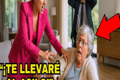MILLONARIO SORPRENDE A SU EXESPOSA GOLPEANDO A SU MADRE ANCIANA, LO QUE HACE OCURRE DESPUES…