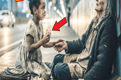 Niña sin hogar ayuda a una anciana… sin saber que es la madre de un multimillonario.