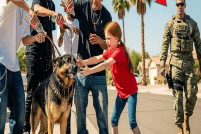 Le Tiraron Coca-Cola a un Perro por Diversión, sin Saber que su Dueño Era un Navy SEAL