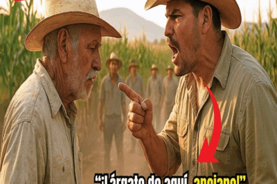 “¡Lárgate de aquí, anciano!” — Dijo el Capataz, Hasta que Descubrió que Era el Patrón Disfrazado