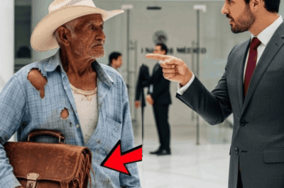“¡FUERA DE AQUI!” — PRESIDENTE del banco HUMILLÓ al anciano… PERO la VERDAD sobre ÉL cambió TODO!