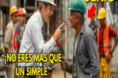 Ingeniero HUMILLA a albañil anciano sin saber que era una leyenda de la construcción…
