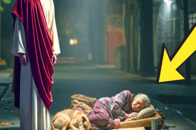 UNA ANCIANA DE 72 AÑOS SE ACOSTABA TODAS LAS NOCHES EN UN CARTÓN VIEJO PERO JESÚS LA HIZO MILLONARIA