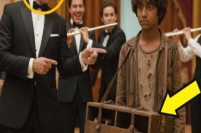 ¿Puedo limpiar sus zapatos por comida? Rieron del niño sin hogar, sin saber que era un genio de la…