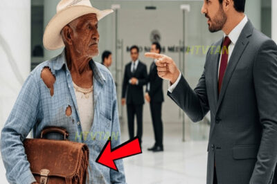 “¡FUERA DE AQUI!” — PRESIDENTE del banco HUMILLÓ al anciano… PERO la VERDAD sobre ÉL cambió TODO!