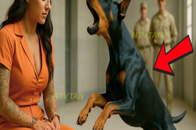 Su último deseo antes de la EJECUCIÓN era ver a su perro, pero lo que sucedió lo cambió todo…