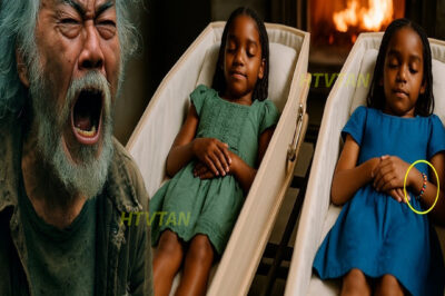 Sin hogar INVADE la CREMACIÓN de Gemelas: “¡MIRA SU BRAZO! ¡MIRA ESE DETALLE!”. cuando la madre…