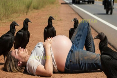 Camionero solitario ve EMBARAZADA DESMAYADA abandonada para los buitres… y él hace esto…