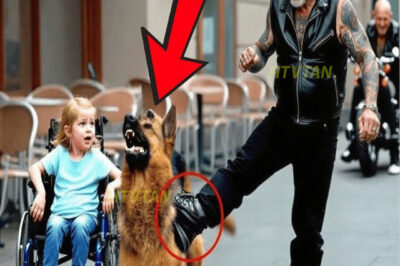 Un motociclista pateó al pastor alemán de una niña como broma: sin saber que era un K9 entrenado…