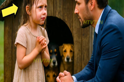 TÍO, DÉJAME DORMIR CON TUS PERROS… DICE NIÑA POBRE AL MILLONARIO, SIN IMAGINAR QUE ÉL…