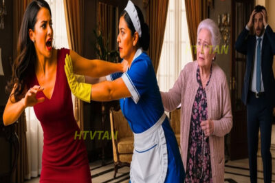 HISTORIA REAL: EMPLEADA SE ENFRENTA A LA NUERA CRUEL PARA PROTEGER A LA MADRE DEL MILLONARIO…