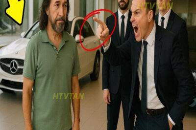 ¡MARCO EL BUKI ES HUMILLADO EN UNA CONCESIONARIA, PERO LO QUE HIZO DEJÓ A TODOS CON LA PIEL CHINITA!