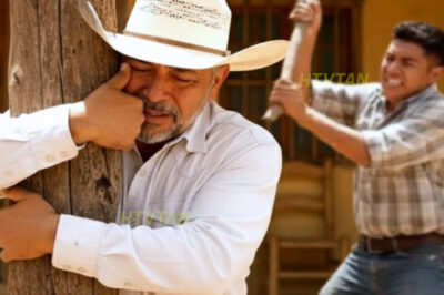 20 Años Enviando Dólares… y Mi Familia Me Golpeó al Volver…