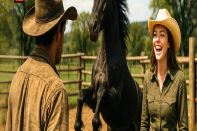 “SI LOGRAS DOMAR ESE CABALLO, ME CASO CONTIGO”… ELLA SE RIÓ, PERO ÉL HIZO LO IMPENSABLE