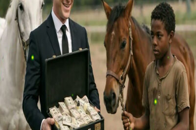 8 MILLONES SI GANAS A MI MEJOR CABALLO… DIJO EL MILLONARIO AL NIÑO HUMILDE PERO ÉL SORPRENDIÓ