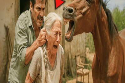 LA ARRASTRÓ POR LOS CABELLOS… La historia más impactante de fe que escucharás hoy