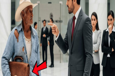 “¡FUERA DE AQUI!” — PRESIDENTE del banco HUMILLÓ al anciano… PERO la VERDAD sobre ÉL cambió TODO!