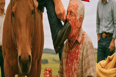Le Hicieron Algo Terrible al Viejito… Pero Este Caballo Lo Cambió Todo en Segundos