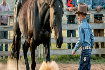 Not Even The BEST Wrangler Could Touch This Wild Horse- Until This KID Stepped In