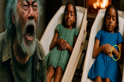 Sin hogar INVADE la CREMACIÓN de Gemelas: “¡MIRA SU BRAZO! ¡MIRA ESE DETALLE!”. cuando la madre…