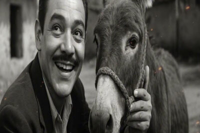 🔴Nadie entendía por qué Javier seguía al burro — hasta que leyó el mensaje atado a su cuello