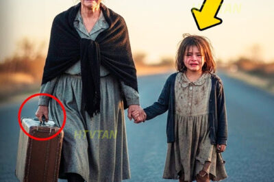 MADRE ABANDONADA EN LA ORILLA DEL CAMINO HALLA A NIÑA HUYENDO DE MADRASTRA CRUEL SU ACTO CAMBIÓ TODO…