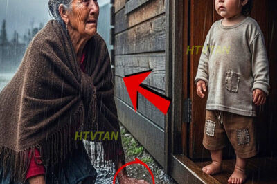 Niño abandonado dio refugio a una anciana en cabaña… y al día siguiente ella compró todas las tierra