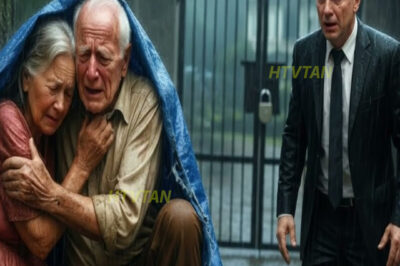 MILLONARIO LLEGA DE SORPRESA Y ENCUENTRA A SUS PADRES EN LA LLUVIA. LO QUE DESCUBRIÓ LO CAMBIÓ TODO…