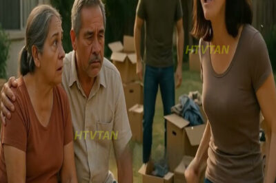 Nuestra nuera nos sacó todas nuestras cosas al jardín y nos gritó que nos fuéramos..lo que hicimos..