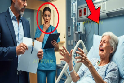 Enfermera vio millonario negar cirugía de su madre para ahorrar. Lo que ella hizo dejó el en shock…