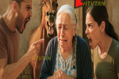 Fue expulsada por sus hijos de su propia casa! Pero un caballo hizo lo impensable…