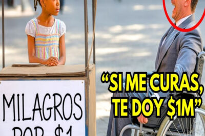 “Milagros Por $1” Decía El Puesto — El Millonario Se Burló… Hasta Que La Silla De Ruedas Quedó Vacía