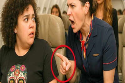 Una sobrecargo maltrata a Lucerito, pero Lucero Hogaza lo ve… y su reacción conmociona a todos.