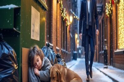 Padre Soltero CEO Encuentra a una Niña y su Perro Durmiendo en la Basura—La Verdad lo Destrozó