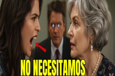 Mi Nuera y mi hijo dijeron que no querían nada de mi… Así que vendí el departamento que les compre