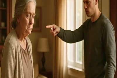 Mi hijo me echó de casa; cuando vio la limusina que vino a buscarme, su sonrisa desapareció.