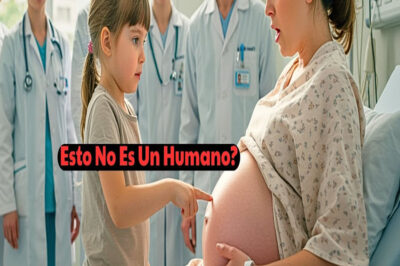 Niña Mira La Ecografía De Su Madre: “Eso No Es Una Persona” Y Los Médicos Se Asustan…