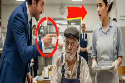 ¡No sabía que era un millonario! La despidieron… y él la llamó.